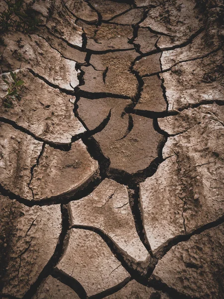 Seco rachado terra marrom fundo — Fotografia de Stock