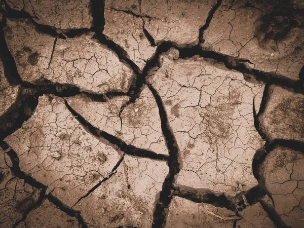 乾燥したひび割れた茶色の地球の背景 — ストック写真
