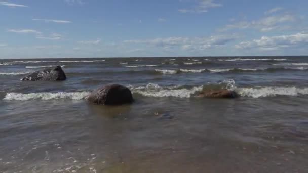 Хвилі мити каміння на березі Балтійського моря на літньому вітряний день — стокове відео