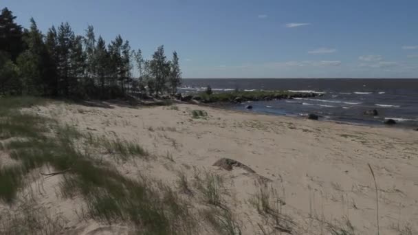 Прогулка по побережью Балтийского моря в солнечный летний день с сильным ветром — стоковое видео