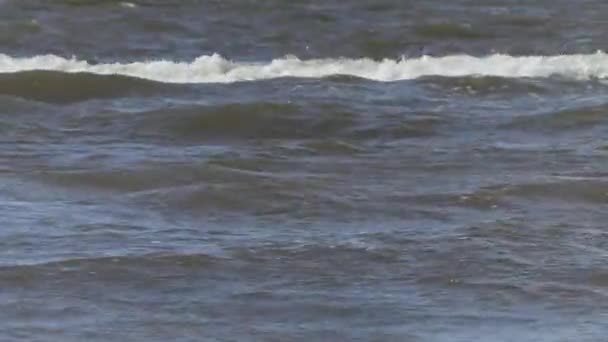 Ondas no mar Báltico a partir da costa — Vídeo de Stock