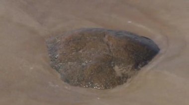 güçlü rüzgar ile güneşli bir yaz gününde Baltık Denizi kıyıları boyunca yürüyüş