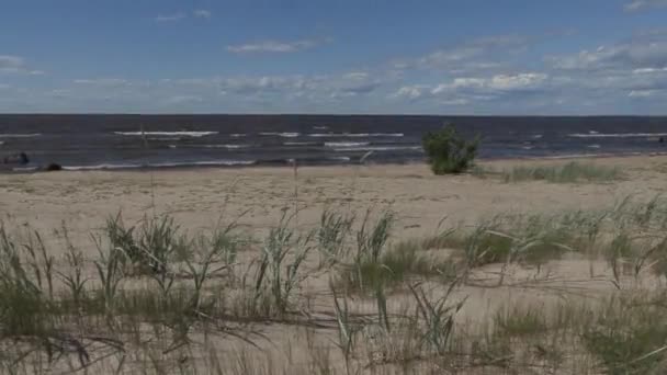在阳光明媚的夏日，在强风中漫步在波罗的海沿岸 — 图库视频影像
