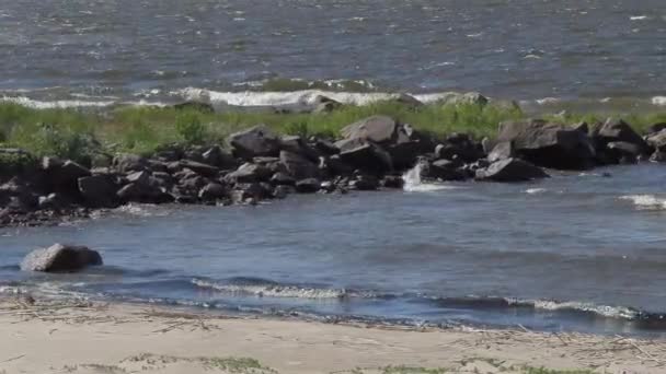 Strosa längs Östersjöns kust en solig sommardag med stark vind — Stockvideo