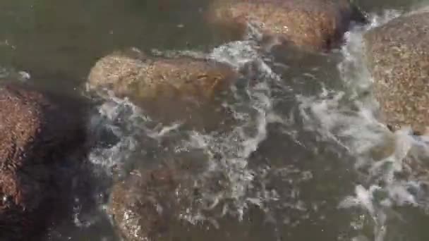 Onde lavare le pietre sulla riva del Mar Baltico in una giornata estiva ventosa — Video Stock