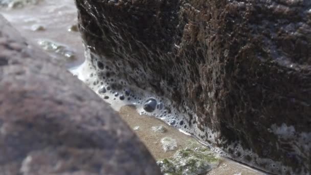 Olas lavan las piedras en la orilla del mar Báltico en un día ventoso de verano — Vídeos de Stock