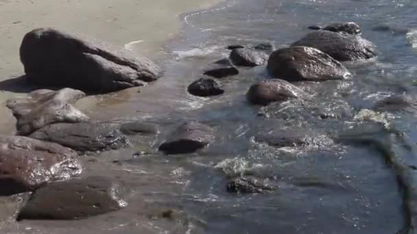 Olas lavan las piedras en la orilla del mar Báltico en un día ventoso de verano — Vídeos de Stock