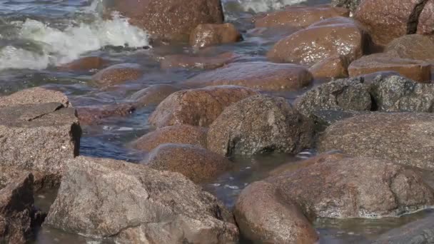 Ondas lavar as pedras na costa do Mar Báltico em um dia ventoso de verão — Vídeo de Stock