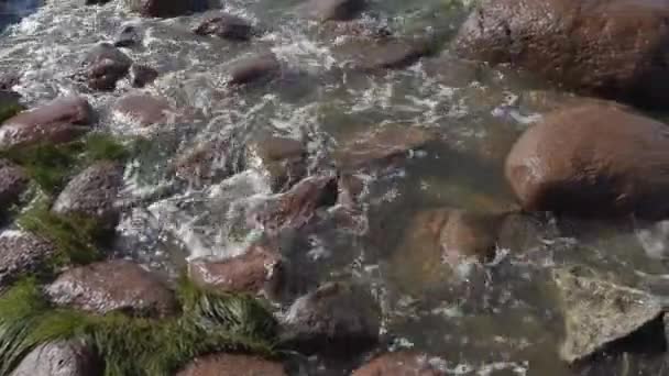 Passeio ao longo da costa do Mar Báltico em um dia ensolarado de verão com vento forte — Vídeo de Stock