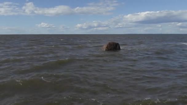 Passeio ao longo da costa do Mar Báltico em um dia ensolarado de verão com vento forte — Vídeo de Stock