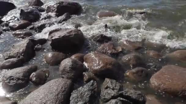 Olas lavan las piedras en la orilla del mar Báltico en un día ventoso de verano — Vídeos de Stock