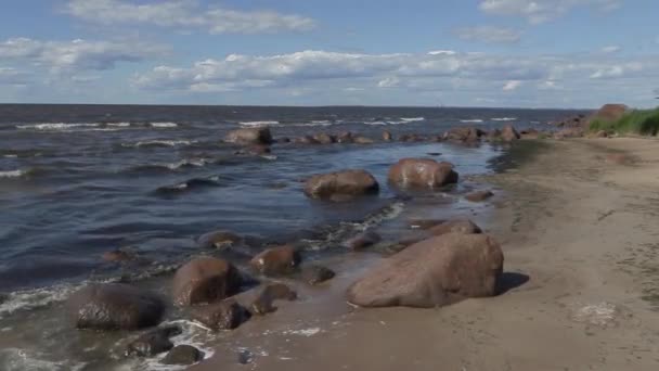 Passeio ao longo da costa do Mar Báltico em um dia ensolarado de verão com vento forte — Vídeo de Stock