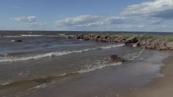 Spacer wzdłuż wybrzeża Morza Bałtyckiego w słoneczny letni dzień z silnym wiatrem — Wideo stockowe