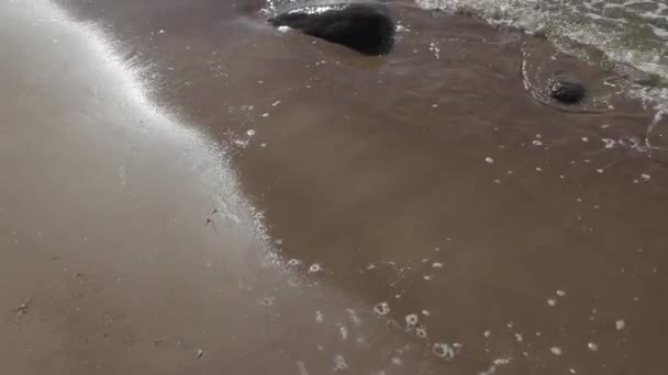 화창한 여름날, 강한 바람이 부는 발트해 해안을 따라 산책 — 비디오
