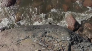 dalgalar bir yaz rüzgarlı günde Baltık Denizi kıyısında taşları yıkamak