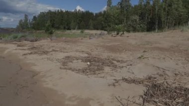 güçlü rüzgar ile güneşli bir yaz gününde Baltık Denizi kıyıları boyunca yürüyüş