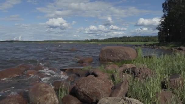 Paseo por la costa del mar Báltico en un día soleado de verano con fuerte viento — Vídeo de stock