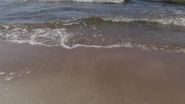 Passeio ao longo da costa do Mar Báltico em um dia ensolarado de verão com vento forte — Vídeo de Stock