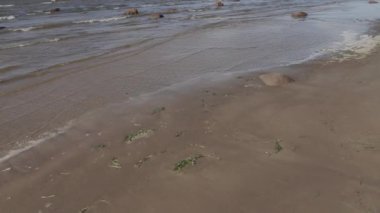 güçlü rüzgar ile güneşli bir yaz gününde Baltık Denizi kıyıları boyunca yürüyüş