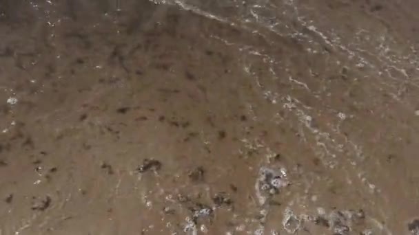 Promenez-vous le long de la côte de la mer Baltique par une journée d'été ensoleillée avec un vent fort 