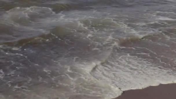 Wandel langs de kust van de Oostzee op een zonnige zomerdag met sterke wind — Stockvideo