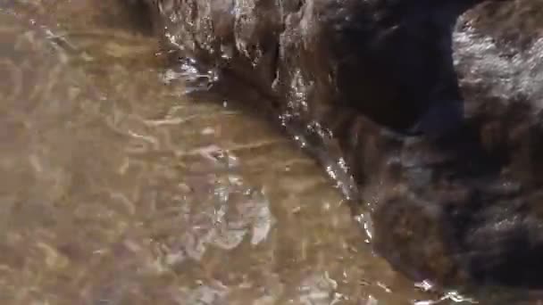 Vagues laver les pierres sur le rivage de la mer Baltique par une journée venteuse d'été — Video