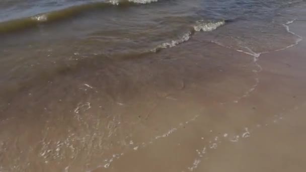 Passeio ao longo da costa do Mar Báltico em um dia ensolarado de verão com vento forte — Vídeo de Stock