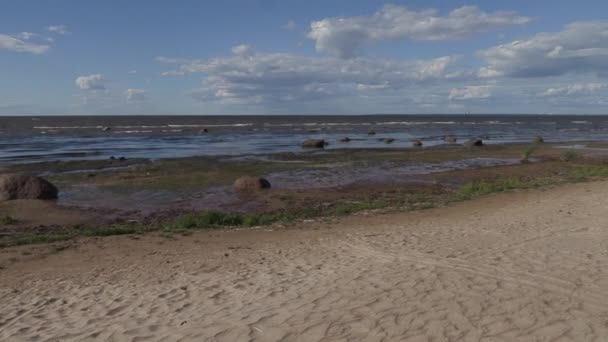Passeio ao longo da costa do Mar Báltico em um dia ensolarado de verão com vento forte — Vídeo de Stock