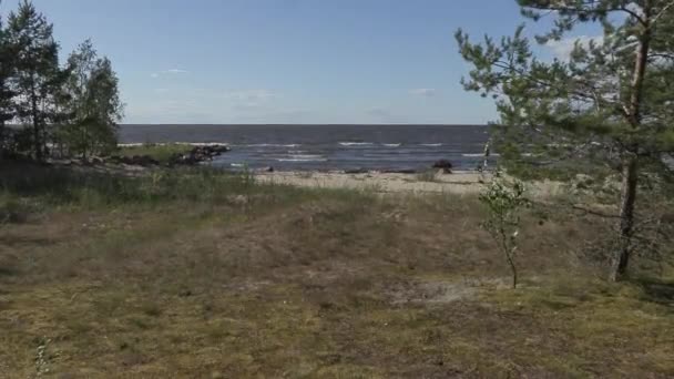 Sétát a Balti-tenger partja mentén, egy napsütéses nyári napon, erős széllel — Stock videók