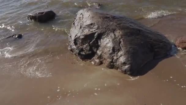 Onde lavare le pietre sulla riva del Mar Baltico in una giornata estiva ventosa — Video Stock