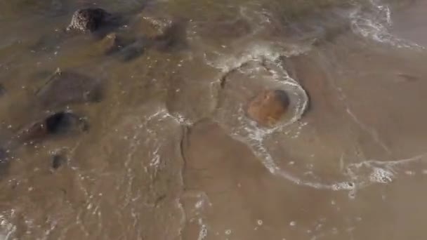 Passeggiata lungo la costa del Mar Baltico in una giornata estiva soleggiata con forte vento — Video Stock