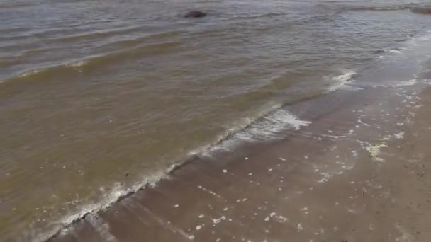 화창한 여름날, 강한 바람이 부는 발트해 해안을 따라 산책 — 비디오