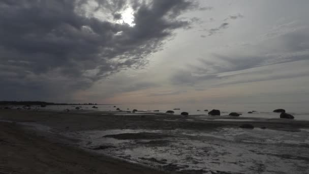 Побережье Балтийского моря в летний вечер — стоковое видео