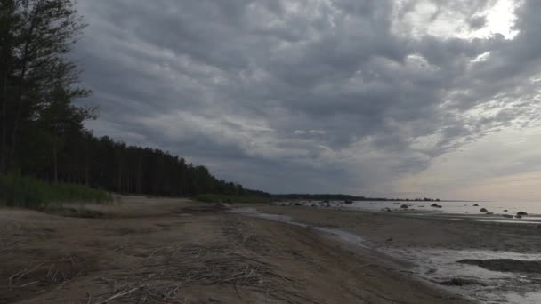 Kust van de Oostzee in de zomeravond — Stockvideo