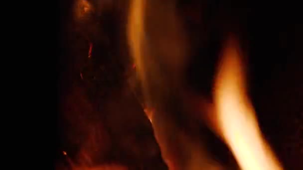 bois de chauffage brûle gros plan 