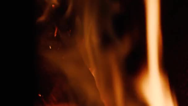 Wood firewood burns close up in slow motion — Stock Video