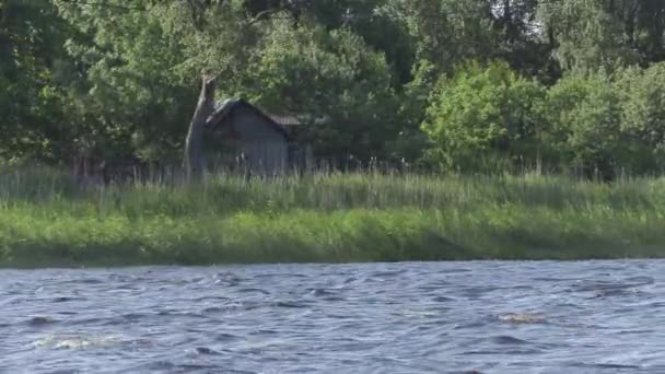 Старый деревянный дом у реки в летний день — стоковое видео