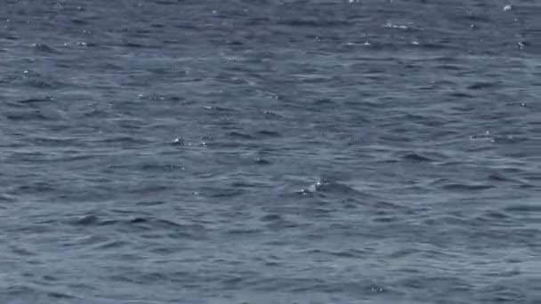 écoulement de l'eau dans la rivière jour d'été 