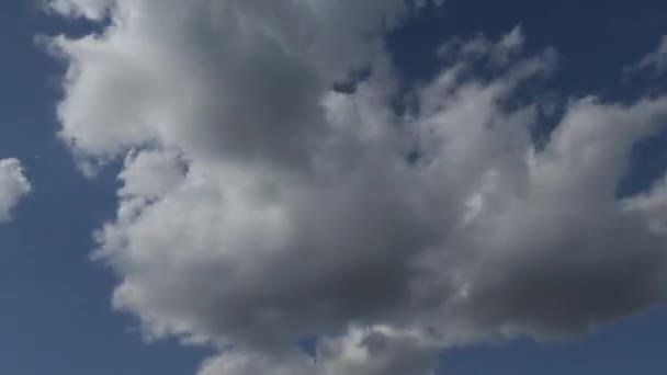 Weiße Wolken am blauen Himmel Zeitraffer-Video — Stockvideo