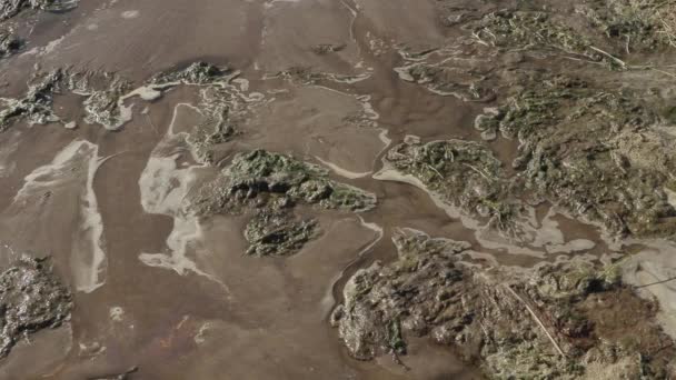 Забруднений берег річки. екологічна катастрофа — стокове відео
