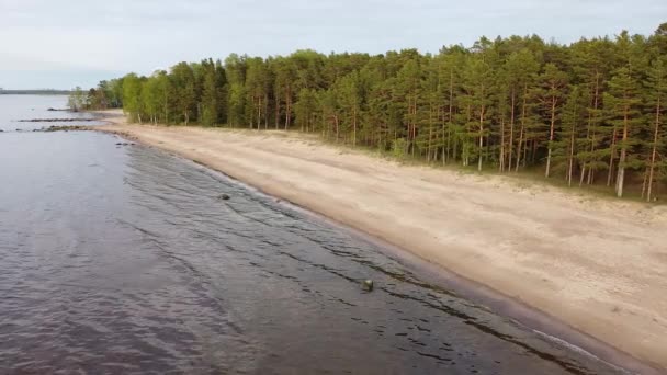 Gulf of Finland beach summer day aerial video — Stock Video