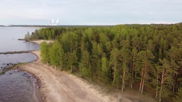 Golfe de Finlande plage journée d'été Vidéo aérienne — Video