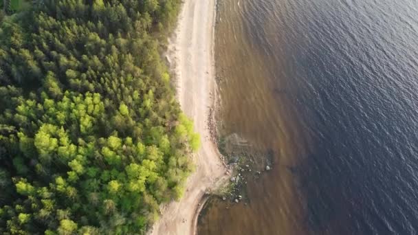 Golfe de Finlande plage journée d'été Vidéo aérienne — Video