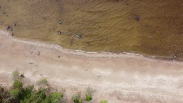 Finlandiya Körfezi plajı yaz günü hava klibi — Stok video