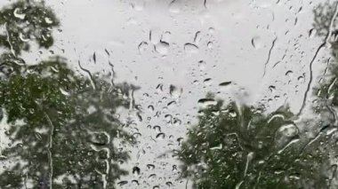 Bardaktan aşağı yağmur damlaları akıyor, 4K video kapanıyor