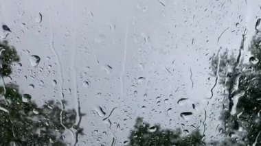 Bardaktan aşağı yağmur damlaları akıyor, 4K video kapanıyor