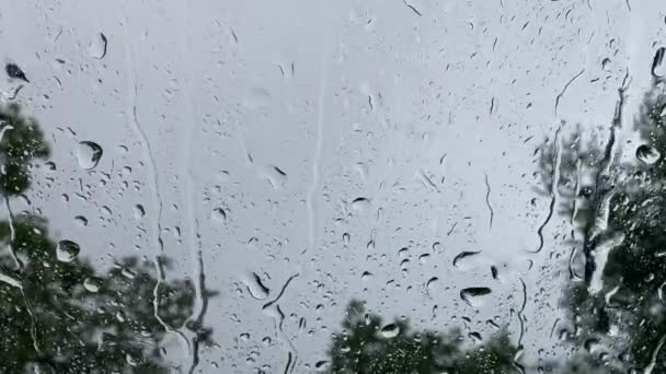 Esőcseppek futnak le az üvegen, 4K videós közelkép. — Stock videók