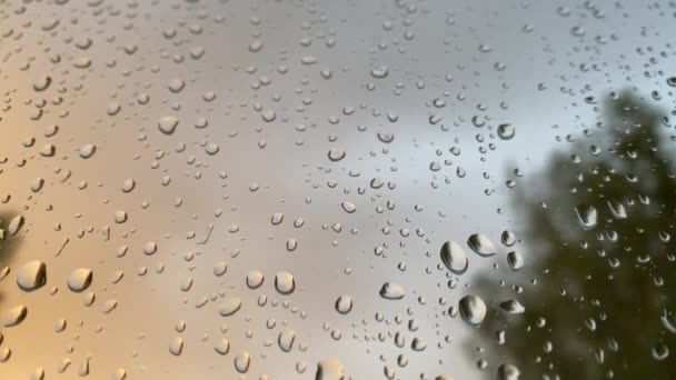 Σταγόνες βροχής ρέουν κάτω από το γυαλί κατά τη δύση του ηλίου 4K βίντεο close-up — Αρχείο Βίντεο