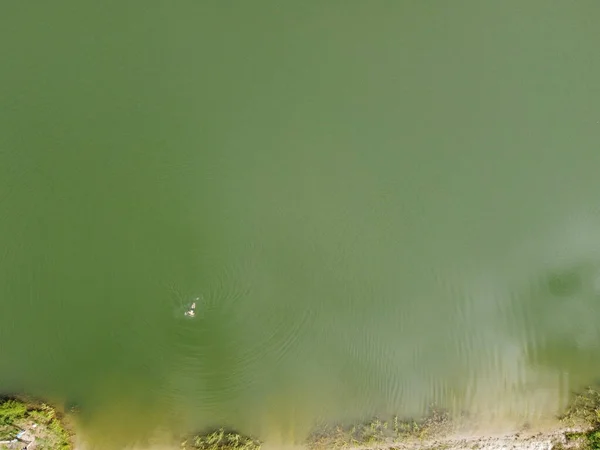 남자는 호수 위에서 수영을 한다 — 스톡 사진