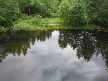 Orman göleti hava manzarası 